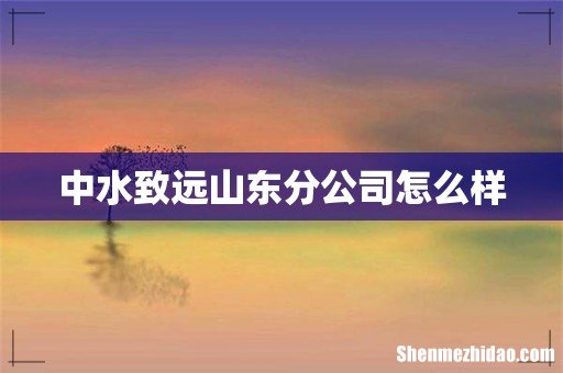 中水致远山东分公司怎么样