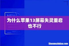 为什么苹果13屏幕失灵重启也不行