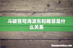 斗破苍穹海波东和雅菲是什么关系
