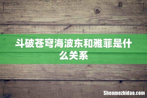 斗破苍穹海波东和雅菲是什么关系