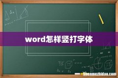 word怎样竖打字体