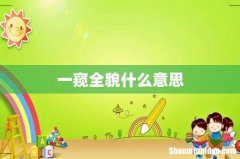 一窥全貌什么意思