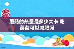 蘑菇的热量是多少大卡 吃蘑菇可以减肥吗