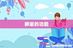 卵巢的功能