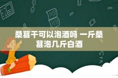 桑葚干可以泡酒吗 一斤桑葚泡几斤白酒