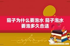 茄子为什么要泡水 茄子泡水要泡多久合适