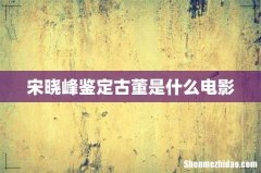 宋晓峰鉴定古董是什么电影