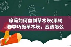 果树春季巧施草木灰，应该怎么做呢？ 家庭如何自制草木灰