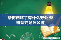 茶树菇吃了有什么好处 茶树菇炖汤怎么做