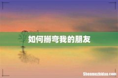 如何掰弯我的朋友
