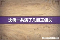 沈伐一共演了几部王保长