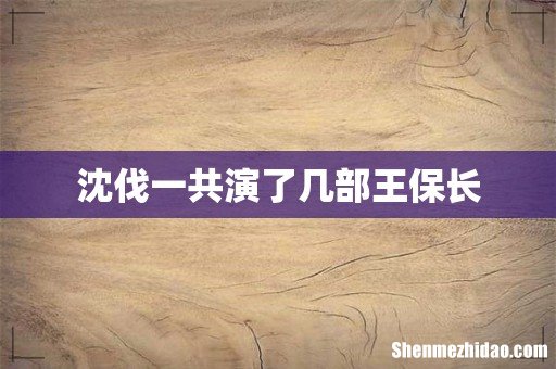沈伐一共演了几部王保长