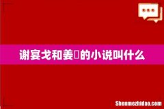 谢宴戈和姜琇的小说叫什么