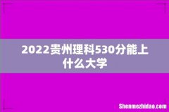 2022贵州理科530分能上什么大学