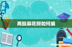 两股麻花辫如何编