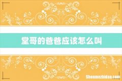 堂哥的爸爸应该怎么叫