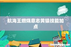 航海王燃烧意志黄猿技能加点