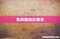 怎样嫁给白敬亭