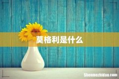 莫格利是什么