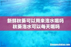 新鲜秋葵可以用来泡水喝吗 秋葵泡水可以每天喝吗
