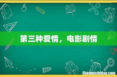 第三种爱情，电影剧情