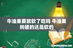 牛油果要放软了吃吗 牛油果挑硬的还是软的