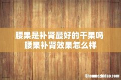 腰果是补肾最好的干果吗 腰果补肾效果怎么样