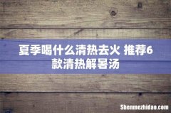 夏季喝什么清热去火 推荐6款清热解暑汤