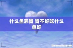 什么鱼养胃 胃不好吃什么鱼好