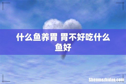 什么鱼养胃 胃不好吃什么鱼好