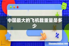 中国最大的飞机载重量是多少