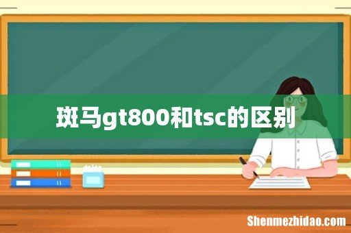 斑马gt800和tsc的区别