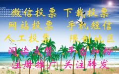 微信投票人工平台投票同一ip价格多少钱一票 确实有微信投票10元1000票,人工投票最低多少钱一