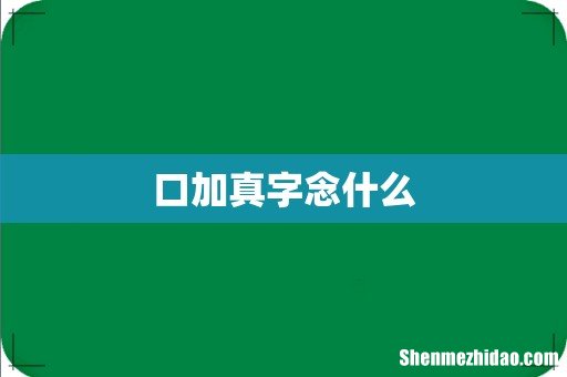 口加真字念什么
