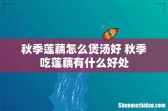 秋季莲藕怎么煲汤好 秋季吃莲藕有什么好处