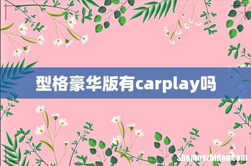 型格豪华版有carplay吗