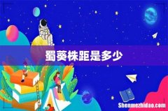 蜀葵株距是多少
