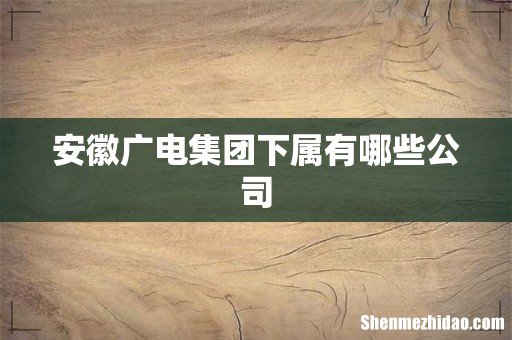 安徽广电集团下属有哪些公司