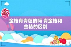 金桔有青色的吗 青金桔和金桔的区别
