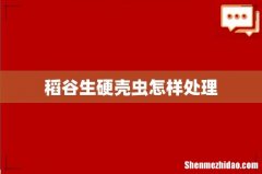 稻谷生硬壳虫怎样处理