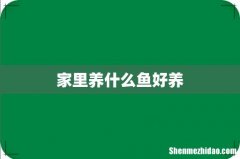 家里养什么鱼好养