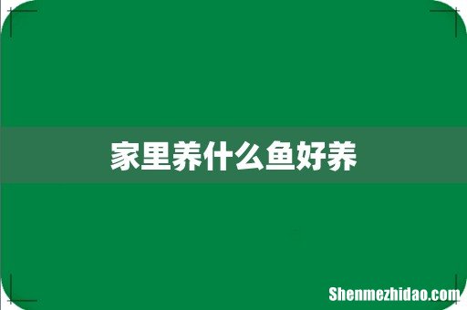 家里养什么鱼好养