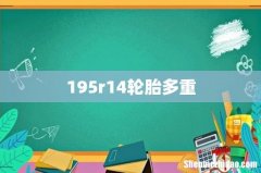 195r14轮胎多重