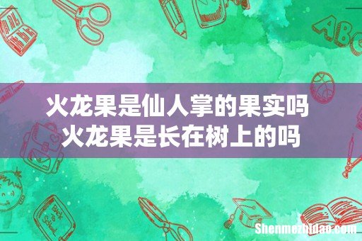 火龙果是仙人掌的果实吗 火龙果是长在树上的吗