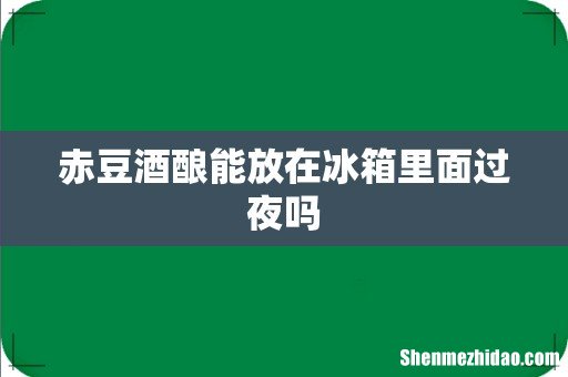 赤豆酒酿能放在冰箱里面过夜吗