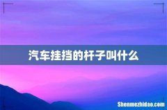 汽车挂挡的杆子叫什么