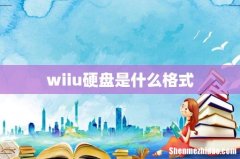 wiiu硬盘是什么格式