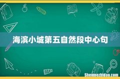 海滨小城第五自然段中心句