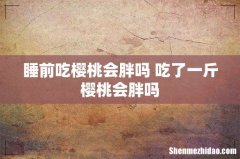 睡前吃樱桃会胖吗 吃了一斤樱桃会胖吗
