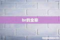 br的全称